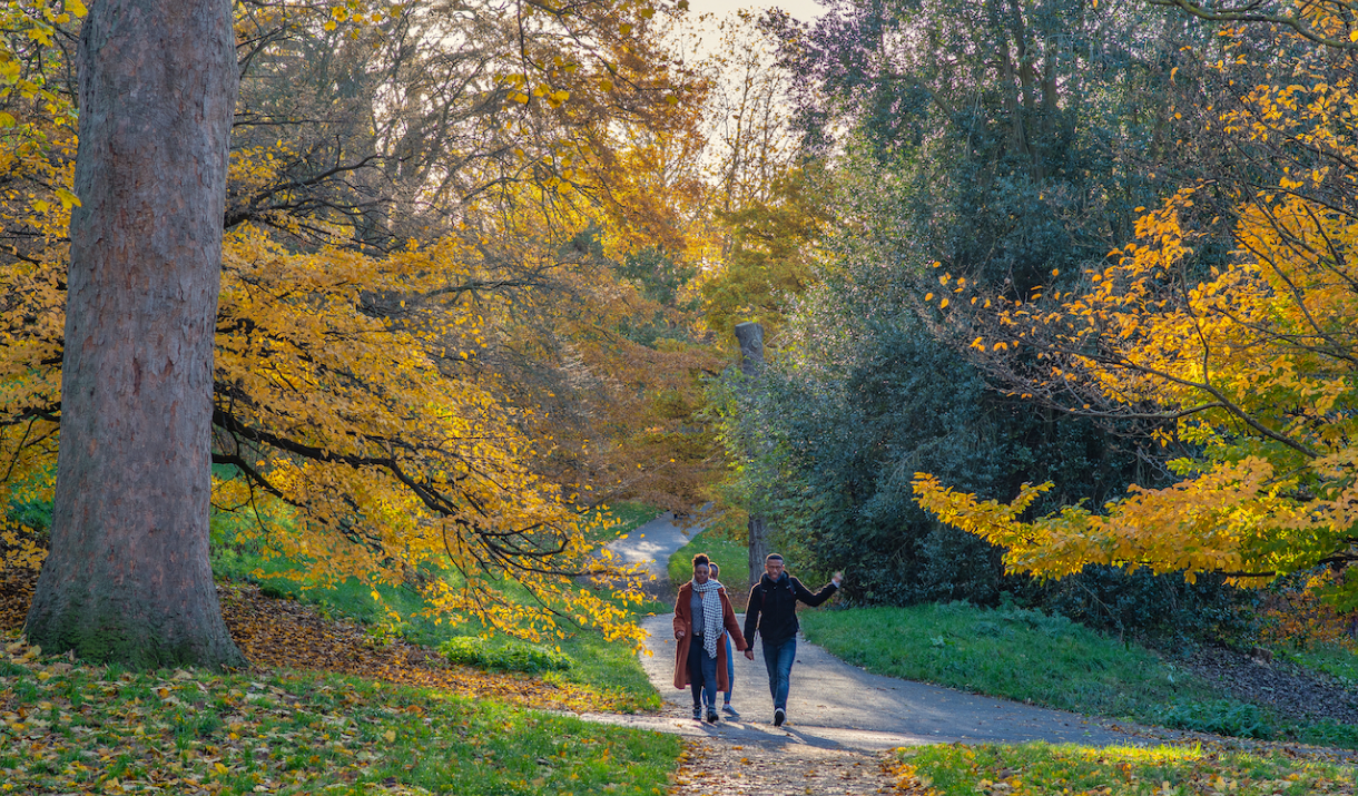 A group take a walk in Greenwich Park